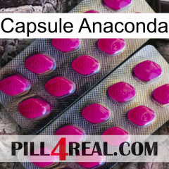 Anaconda Capsule 10